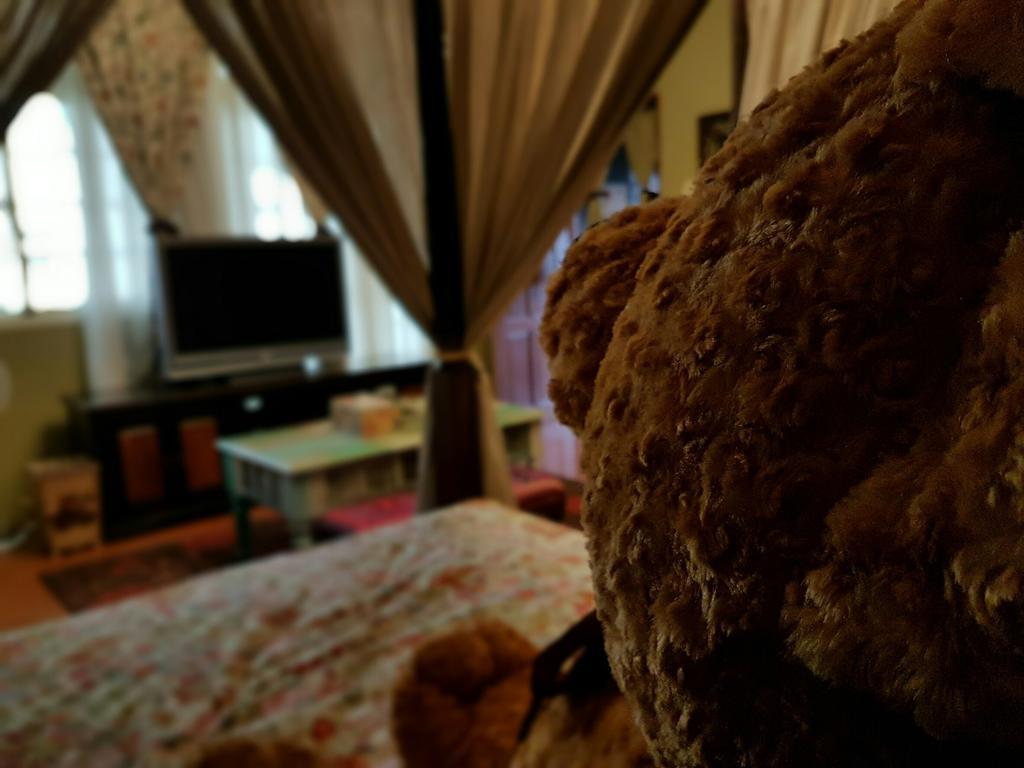 Bearbear Homestay 花莲市 外观 照片