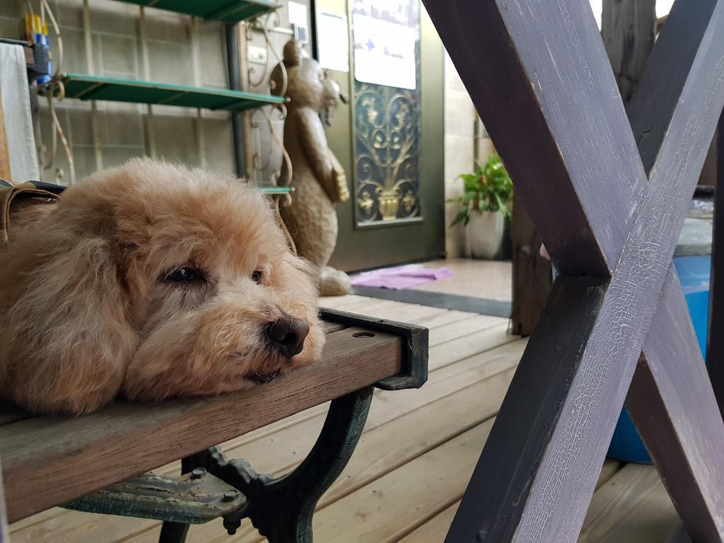 Bearbear Homestay 花莲市 外观 照片
